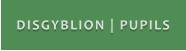 DISGYBLION | PUPILS
